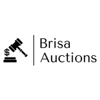 Brisa Auctions