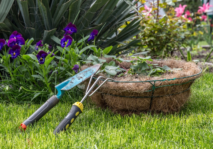 Gardening tools in basket