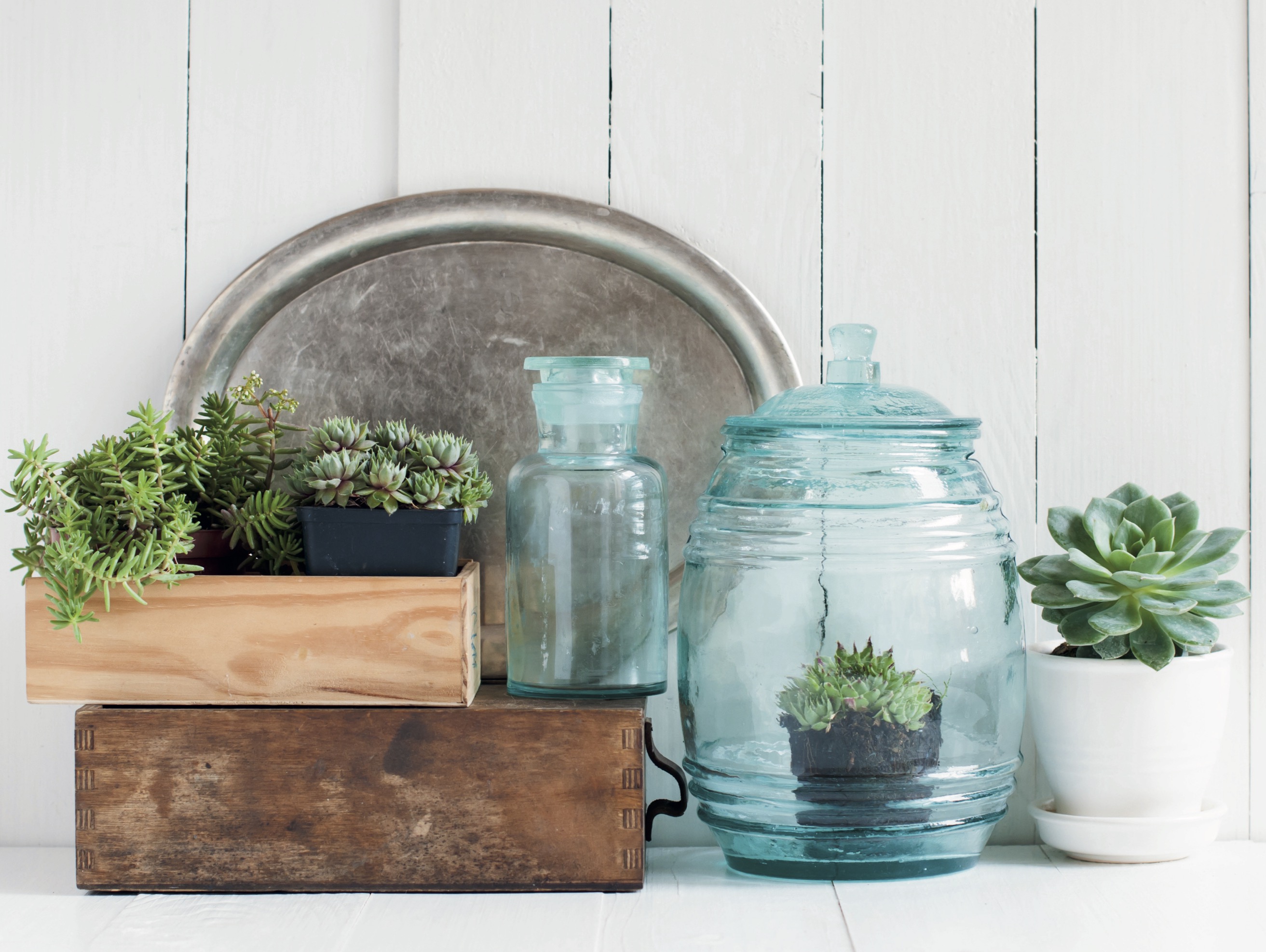 A styled table top featuring a mix of vintage blue glass and wood boxes repurposed for succulent planters along with a tarnished silver tray create a visually interesting backdrop for a vacation home entryway.