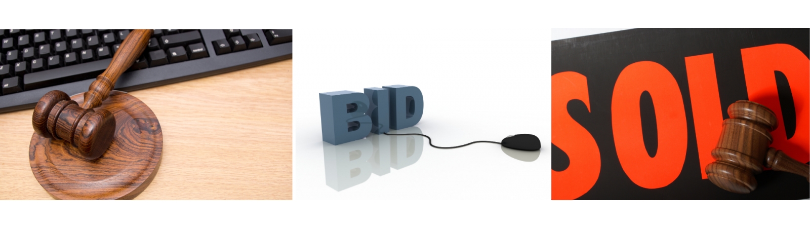 Blue Bridge Auctions, LLC | AuctionNinja