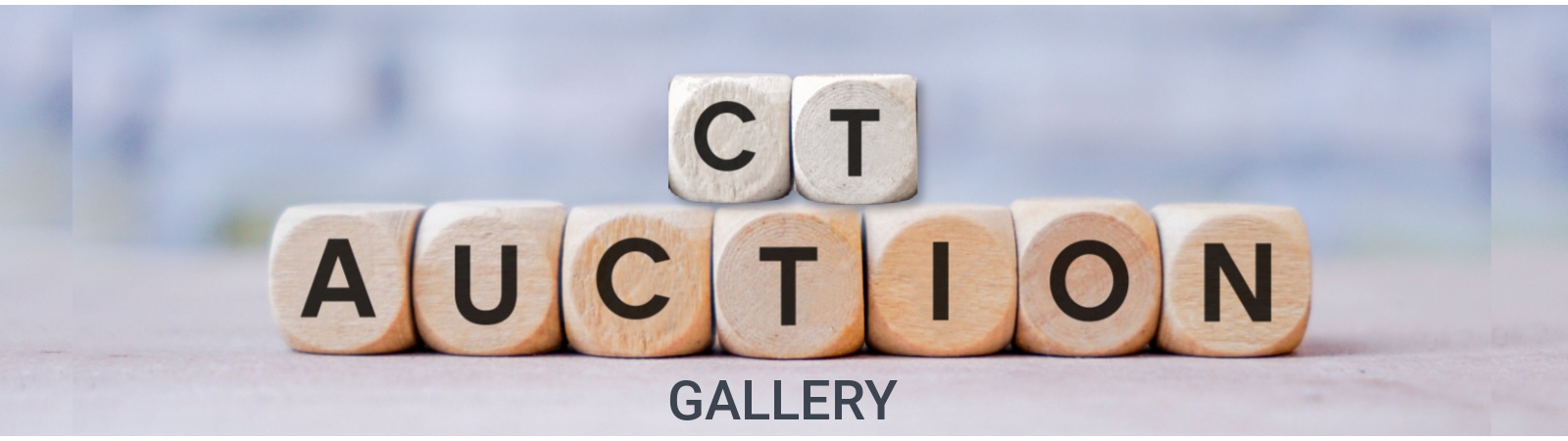 CT Auction Gallery | AuctionNinja