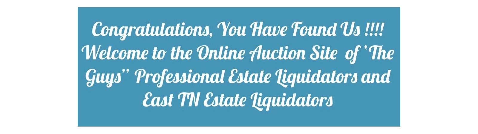E10EL & The Guys Online Auctions | Auction Ninja