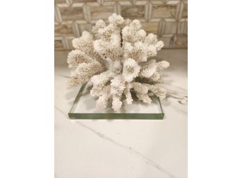 COOL FAUX CORAL DISPLAY PIECE ON GLASS STAND