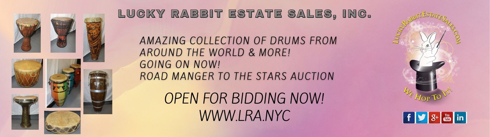 Lucky Rabbit Estate Sales, Inc | Auction Ninja