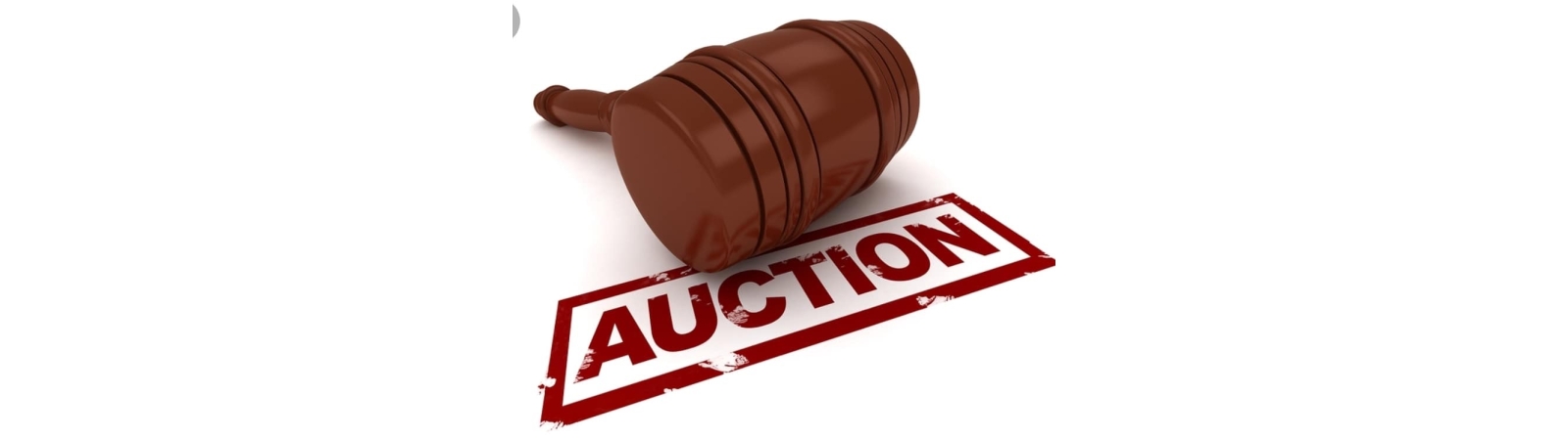 Robertson Auction Company | Auction Ninja