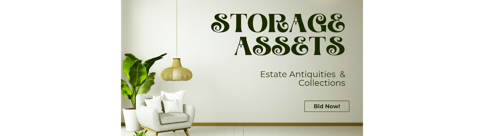 Storage Assets | Auction Ninja