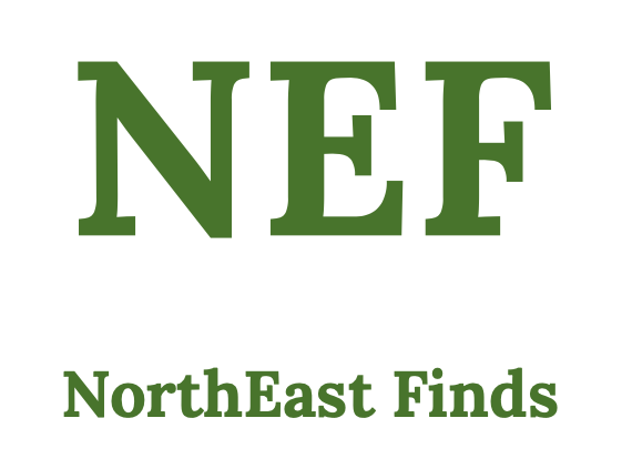 NorthEast Finds | Auction Ninja