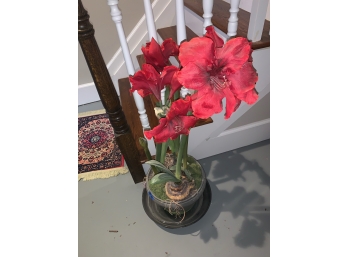 Red Faux Flower 9.5' Pot / 40' Overall