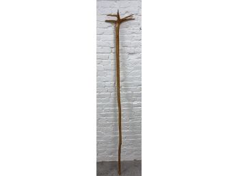 Hemlock Staff With Shellac Finish 5 Feet 10 Inches Tall