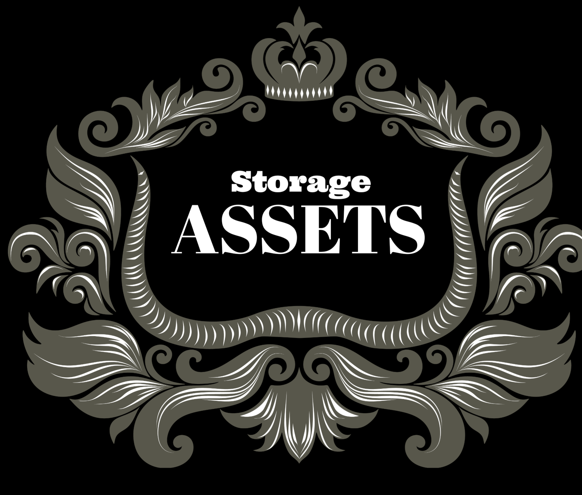 Storage Assets | AuctionNinja