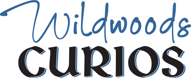 Wildwoods Curios | Auction Ninja